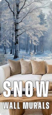 Snow Wall Murals