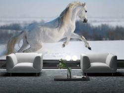 White Horse on the Snow