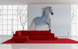White Horse on the Snow