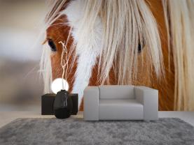 Cheval