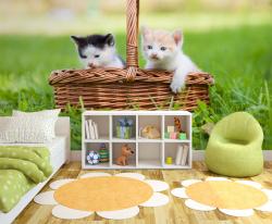 Kittens