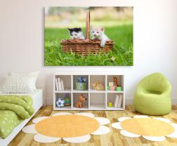 Wall Murals - Kittens