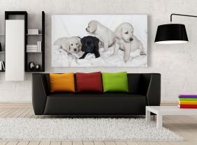 Murais de Parede - Cães Cachorros