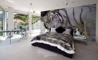 Tigre