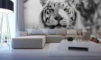 Tigre