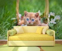 Katte Killing