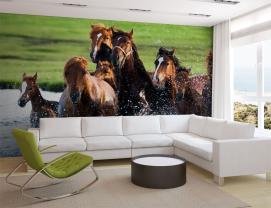 Chevaux