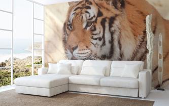 Fotobehang - Tijger