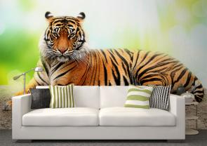 Tigre
