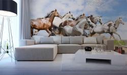 Horses
