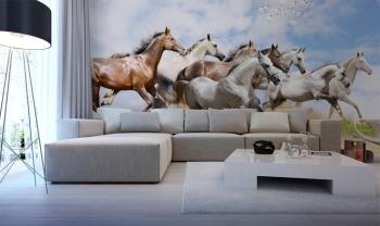 Chevaux