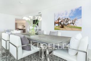 Fotobehang - Paard