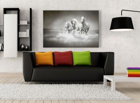 Papier Peint Photo - Chevaux