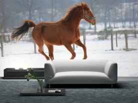 Cheval