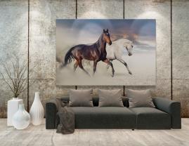 Wall Murals - White and black horses