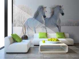 Fotobehang - Paard