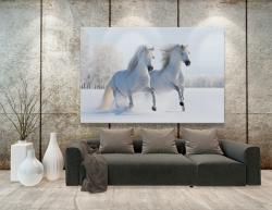 Fototapet - Hest