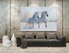 Fotobehang - Paard