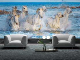 Witte paarden