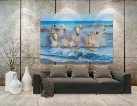 Wall Murals - White horses at the beach