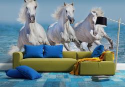 White horses at the beach