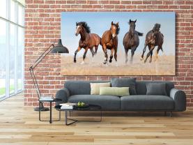 Wall Murals - Horses