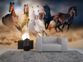 Wilde Paarden
