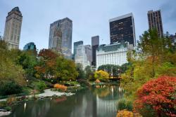 Wall Murals - Central Park New York City