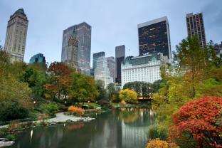 Papier Peint Photo - Central Park New York Ville