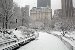 Fototapeten - Central Park New York Stadt