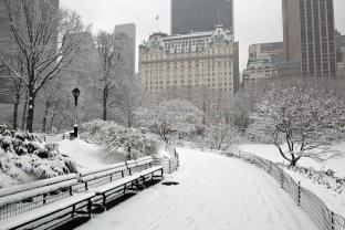 Fototapet - Central Park New York City