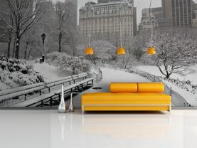 Central Park New York Stad