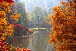 Fototapeten - Central Park New York