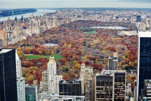 Fotomurales - Central Park Vista Panorámica