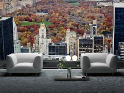 Central Park Panoramic View