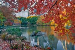 Fototapeten - Central Park New York Stadt