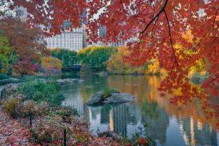 Fototapeter - Central Park New York Stad