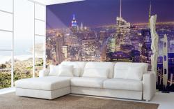 New York Panoramic View