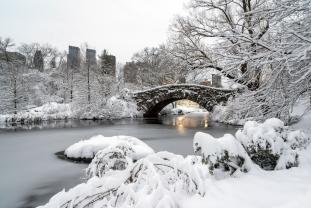 Fototapeten - Central Park New York Stadt
