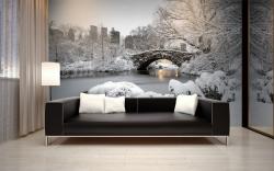 Central Park New York City