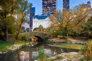 Fotomurales - Central Park Nueva York Ciudad