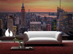 New York Panoramic View
