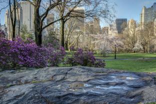 Fototapeten - Central Park New York Stadt
