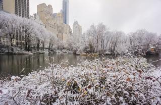 Fototapet - Central Park New York City