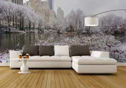 Central Park New York City