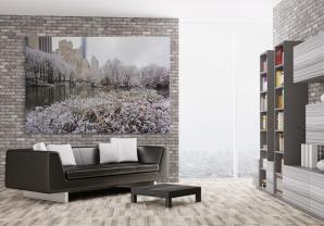 Fototapet - Central Park New York City