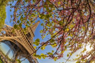 Fotomurales - Torre Eiffel París