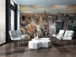 New York Panoramic View