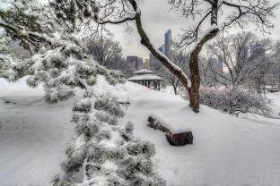 Wall Murals - Central Park New York City