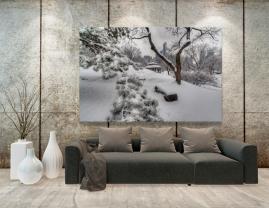 Wall Murals - Central Park New York City